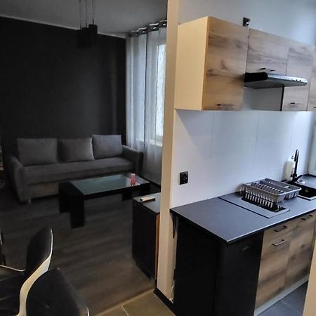 Apartament Pod Wieza Apartment Piotrków Trybunalski Екстериор снимка