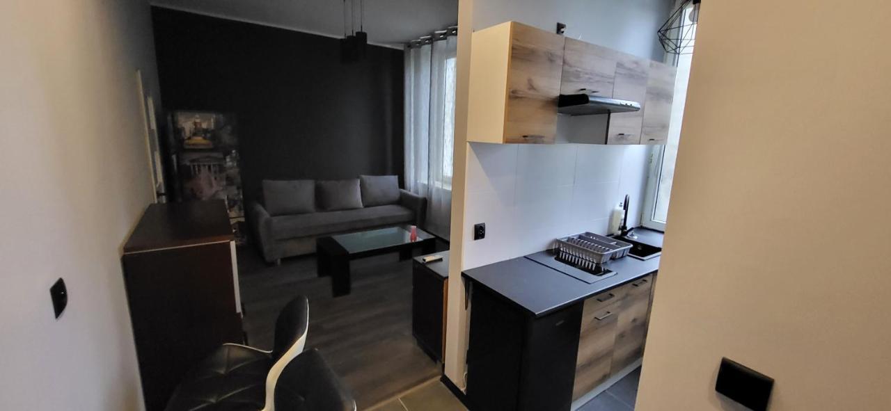 Apartament Pod Wieza Apartment Piotrków Trybunalski Екстериор снимка
